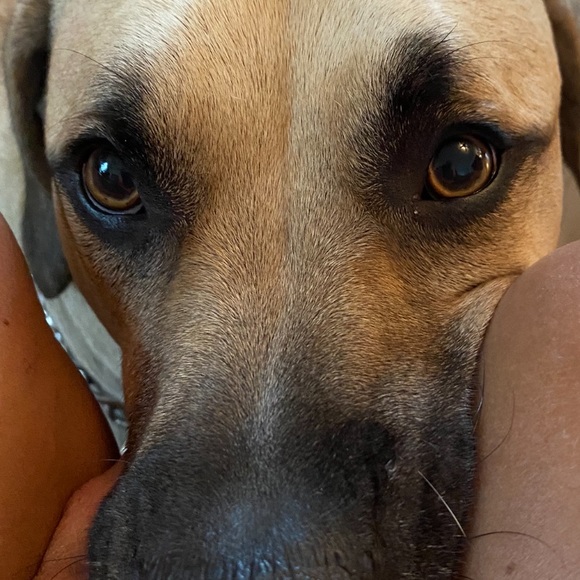 Meet your Posher, Sonia - Picture 1 of 1